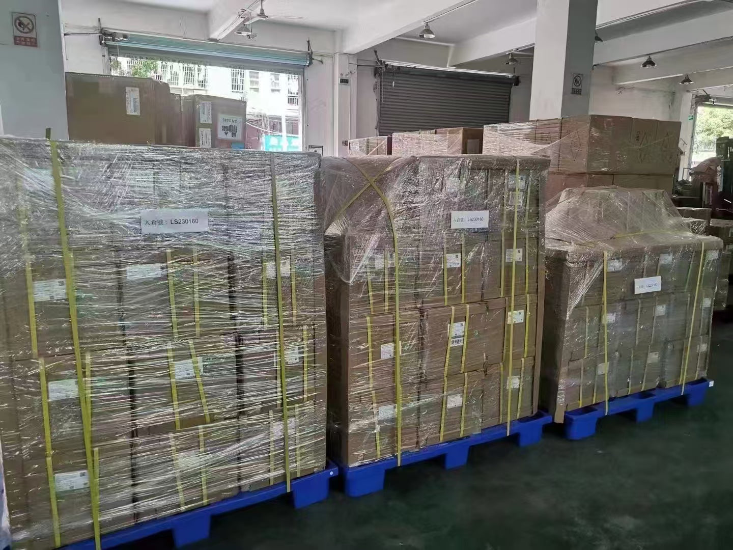 Warehouse Loading for Shipping from China and DDP Freight Service